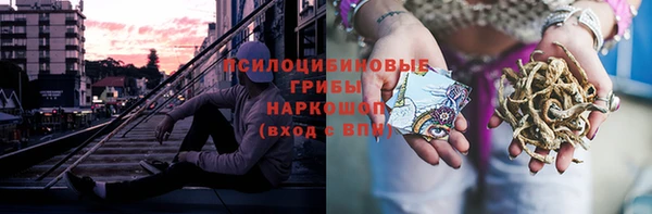 СК Зеленодольск