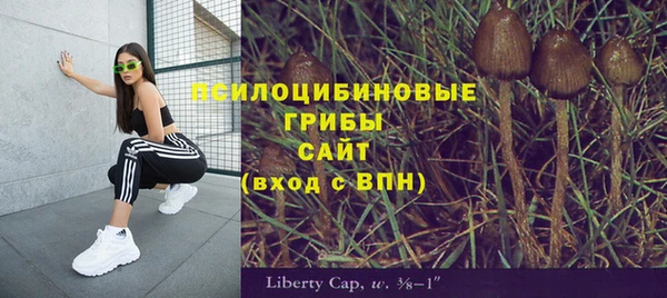 гидра Зерноград