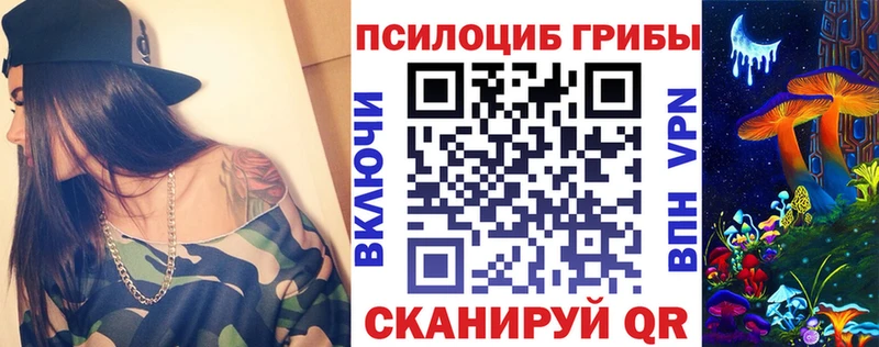 Псилоцибиновые грибы Psilocybe  Купить  Лыткарино 